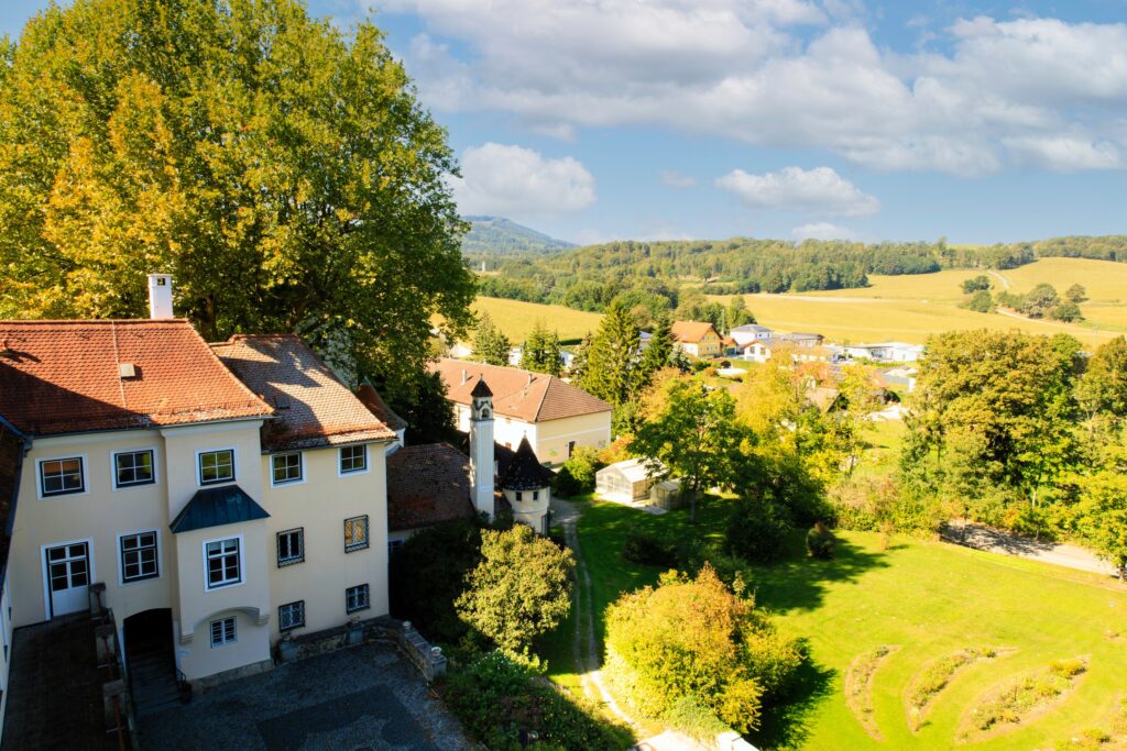 6E0A0076-Edit_resized