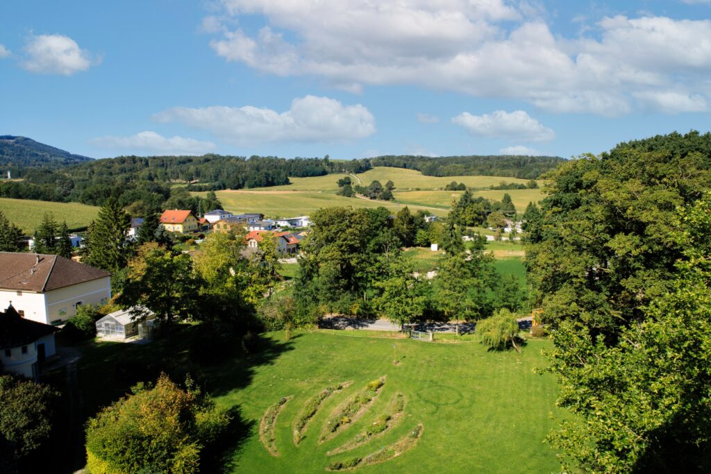 6E0A0079-Edit_resized